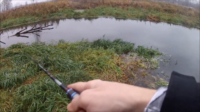 FishComm Shop: Опять щука на Chimera Agile 70FL смотреть онлайн