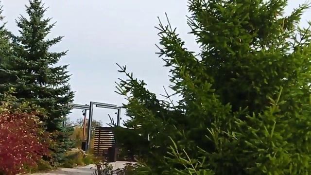 Вертолётка осенью в Самаре ? смотреть онлайн