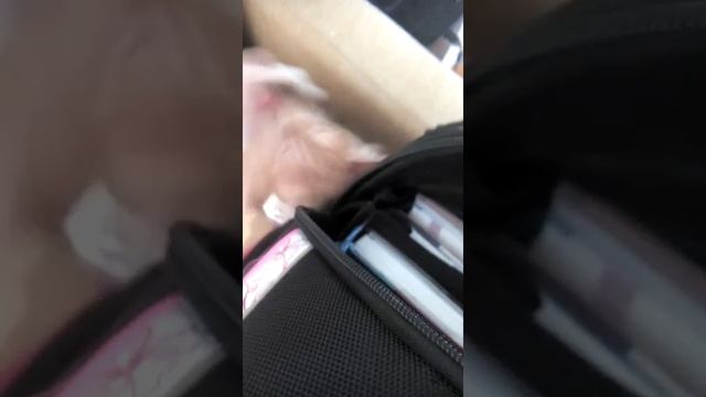 Звёздочка ( для носа) смотреть онлайн