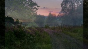«НОЧЕНЬКА»... (Фото Дмитрия Асеева (Москва) - Поёт нар. арт. СССР Борис Тимофеевич Штоколов)