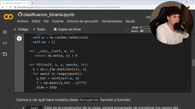 El Perceptrón - Clasificación Binaria смотреть онлайн