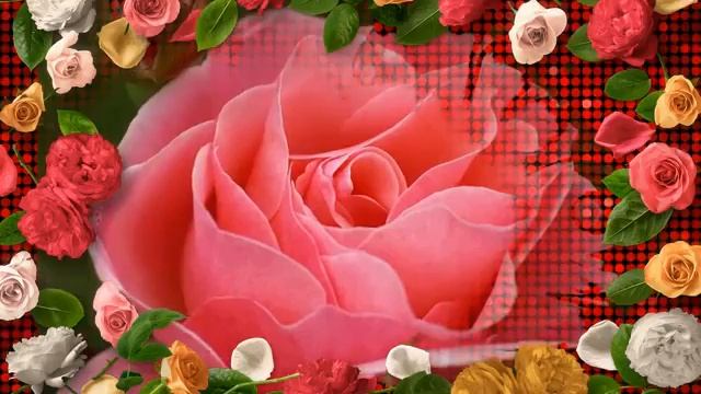 Пусть твои глаза всегда сияют счастьем! смотреть онлайн