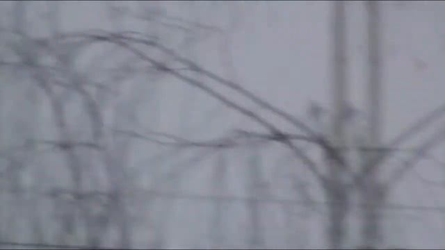 Нашествие голодных птиц! смотреть онлайн