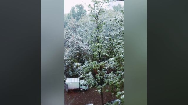 08-05-2024 Зимушка Зима накрыла Москву ❄️ смотреть онлайн