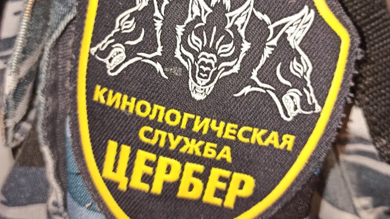 Собачья работа