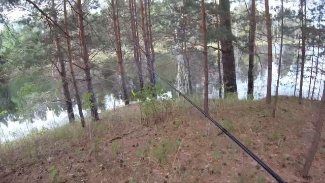 День рыбного ассорти. Карась, окунь, щука, линь! Спонтанная поездка в Ярково ч. 2 смотреть онлайн