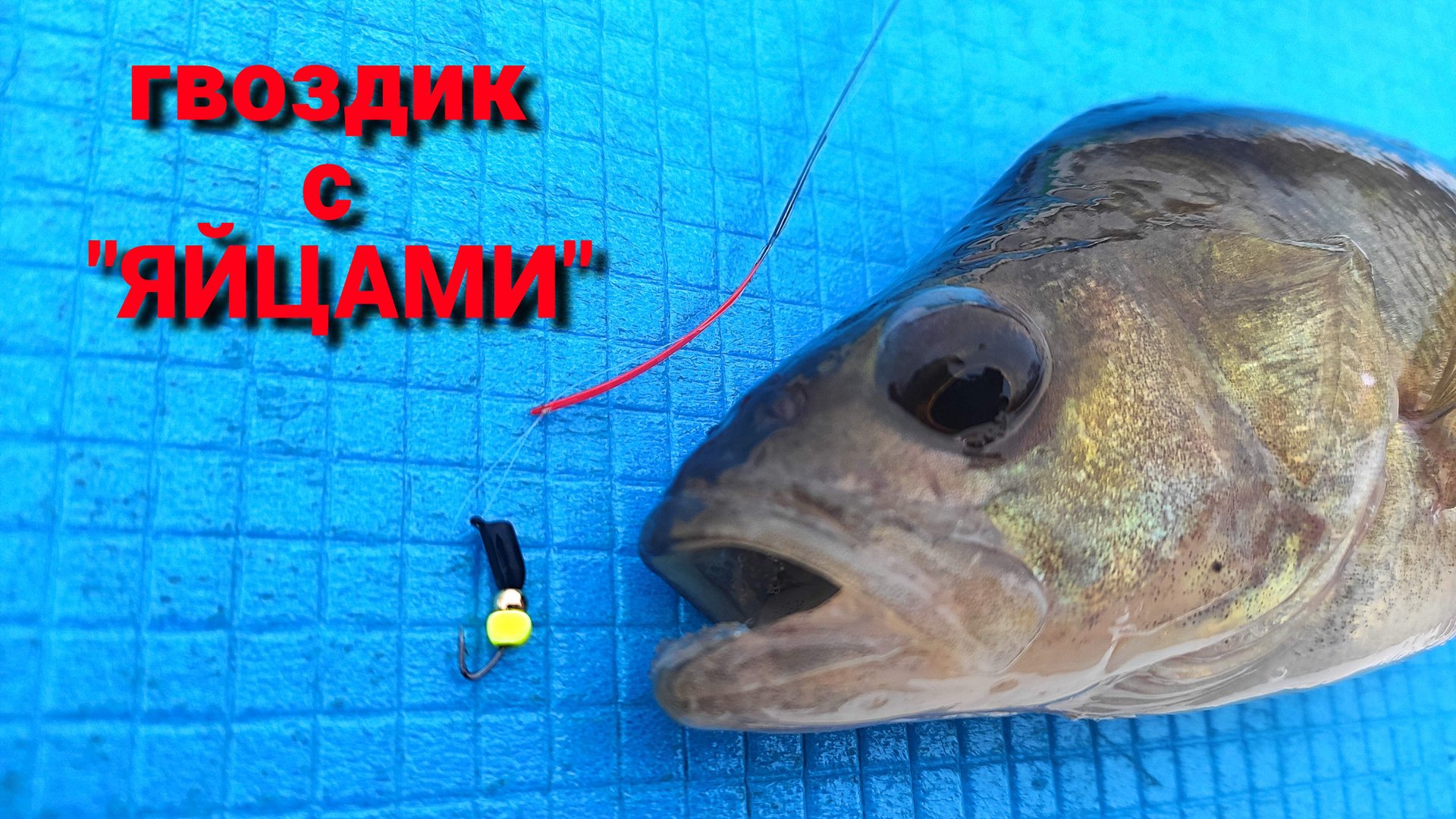 Рыбалка на ОКЕ в оттепель. ГВОЗДИК с "ЯЙЦАМИ". В камере густо, а на крючке пусто. смотреть онлайн