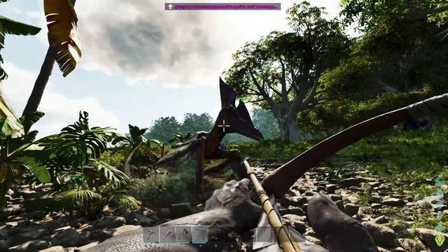 ПЕРВЫЙ ЗАПУСК ARK Ascended на RTX 4070 Ti ОБЗОР! ВЫЖИВАНИЕ В НОВОМ ARK 1.5 АСЦЕНДЕД смотреть онлайн