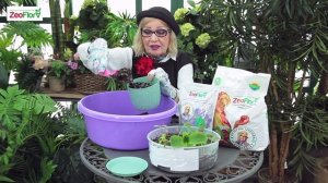 Октябрина Ганичкина об использовании почвоулучшителей ZeoFlora