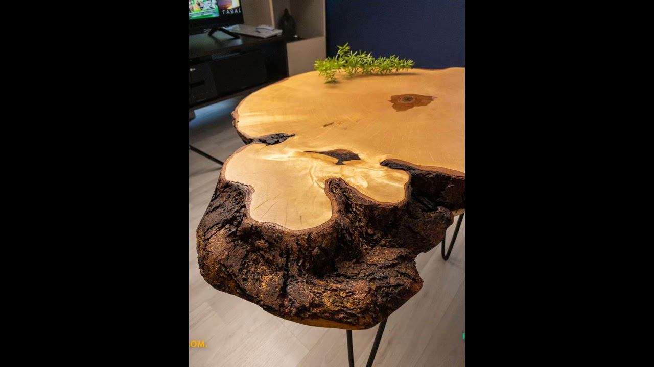 Чудеса живой природы