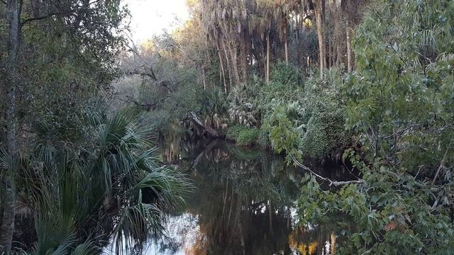 Palm Bay, Florida - History and Facts смотреть онлайн