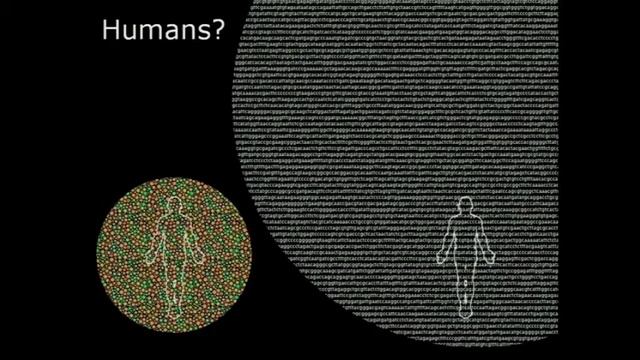 Quroum Sensing.m4v смотреть онлайн