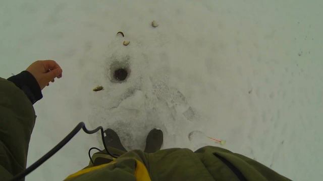 Клёв окуня на мормышку 