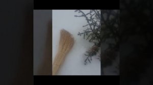 Как избавиться от соседей.