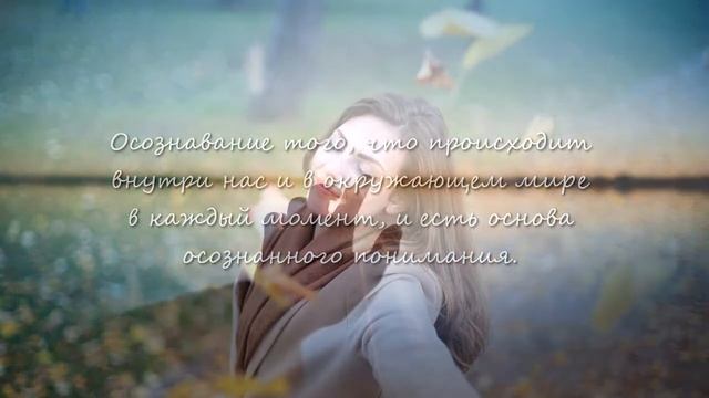 Как обрести гармонию в нашем безумном мире? Режим выживания и режим осознанности. смотреть онлайн