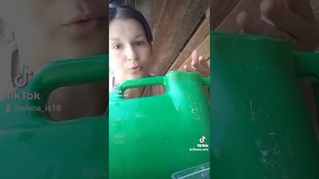 Огурцы теперь не горчат)