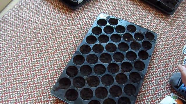 Посев семян в феврале. смотреть онлайн