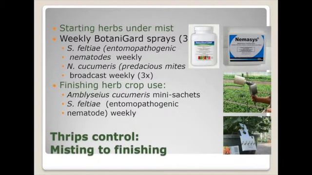 Biocontrol Webinar - Biological Control on Herbs смотреть онлайн