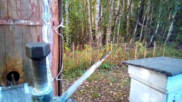 Обработка пчел щавелевой кислотой. смотреть онлайн