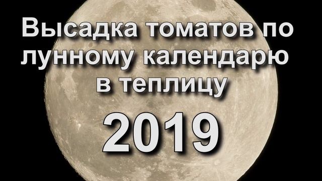 Лунный календарь огородника на 2019 год. Когда сажать рассаду томатов в 2019 году. смотреть онлайн