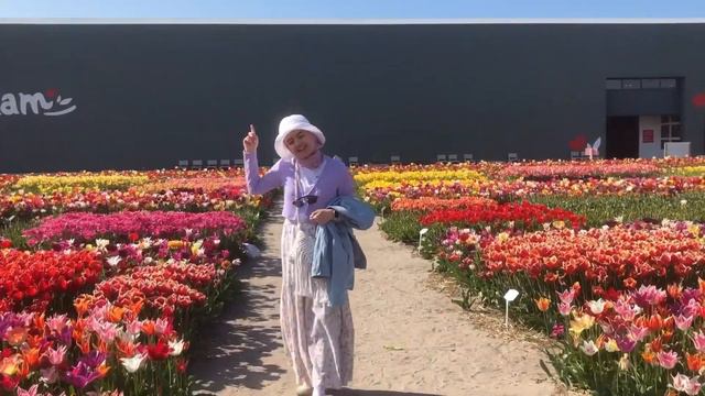 AMSTERDAMGA SAYOHAT: LOLA DALALARIDAN TORTIB SHAHAR USTIDAGI ARG'IMCHOQGACHA! смотреть онлайн