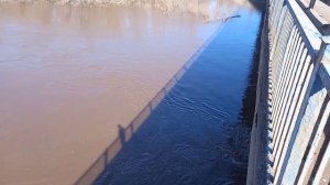 Разлив реки Самары и о выходе ролика по замене РХХ в Нива Шевроле