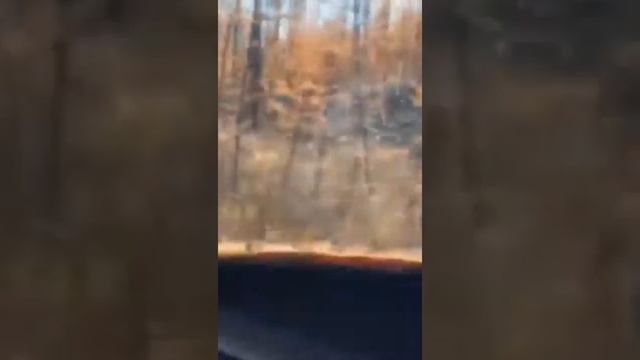 Мтлб рыбалка 2020 смотреть онлайн