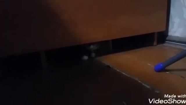 чё ты там делаешь смотреть онлайн