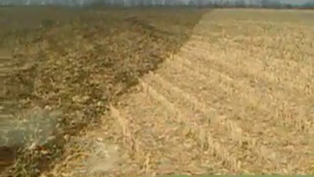 Лущение кукурузной стерни ,борона дисковая Rubin 9 . смотреть онлайн