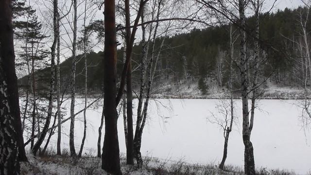 Домовые. Ответы на вопросы. Новые истории смотреть онлайн