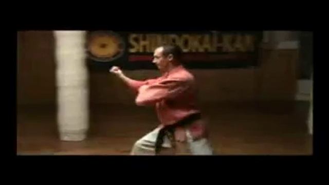 Shindokai karate. Pinan sono yon Kata смотреть онлайн