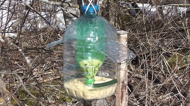 ДОМ В ДЕРЕВНЕ. ДЕЛА ЖИТЕЙСКИЕ. ЗДЕСЬ ЖИВЁТ КРАСОТА. смотреть онлайн