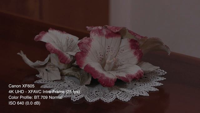 Canon XF605 - Low Light Test - ISO Comparison смотреть онлайн