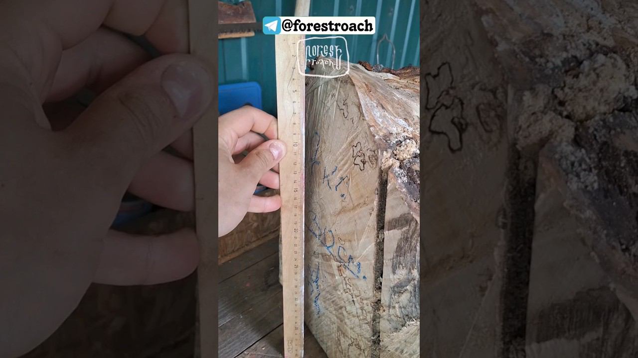 ОГРОМНЫЙ СУВЕЛЬ ЗА КОПЕЙКИ #бушкрафт #выживание #топор #forest #топ #wood #forestroach смотреть онлайн