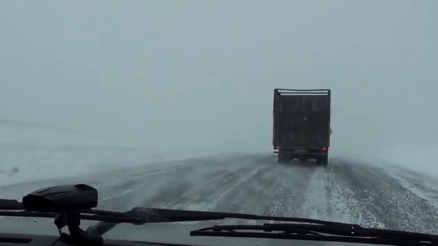 Купили нетелей/ Первые хлопоты и Дорожные приключения/ #ПереездНаАлтай#ПереездВдеревню смотреть онлайн