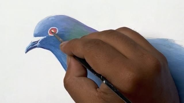How to draw a pigeon step by step || Poster Colour Painting смотреть онлайн