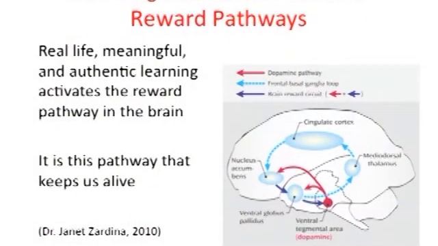 Use it or Lose it and the Need for Rewards смотреть онлайн
