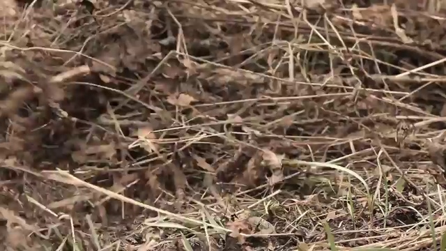 фото войнушка