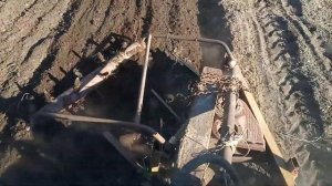 Трактор Т 25 пахота плугом 3-х корпусным.