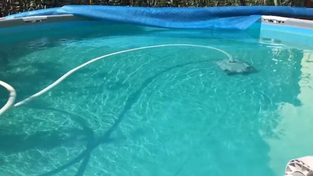 Очистка воды бассейна 1000 рублей за сезон! смотреть онлайн