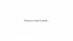 Гербера. Уход за всходами. Пересадка.__Валентина Земскова.