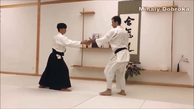 Advanced Aikido Ukemi: Tobi Ukemi Tutorial смотреть онлайн