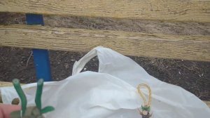 Чёртофилия и череп. Вып. 297. Чёртики из капельницы из моего детства. #коллекция #искусство #черти