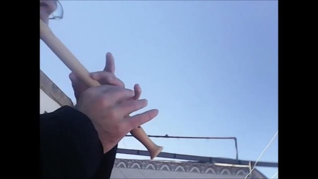 Ach! du lieber Augustin [Tradicional alemana] - Flauta dulce смотреть онлайн