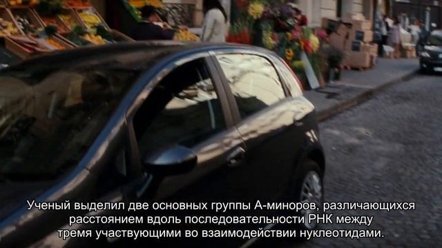 Ученые описали основные структуры "темной" РНК смотреть онлайн