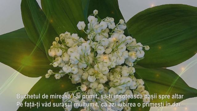 BUCHETUL DE MIREASĂ