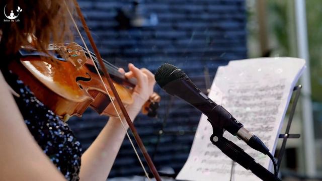 Parabéns Para Você 👏. Feliz Aniversário No Violino- Happy Birthday - Sound Of A Violin