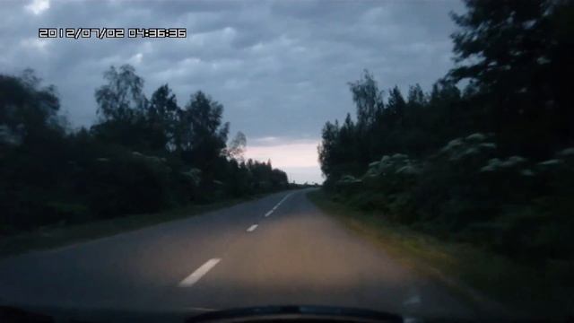 Заяц бежит по дороге.MOV смотреть онлайн