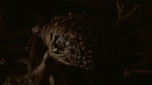 Zygote Monster - Explained смотреть онлайн