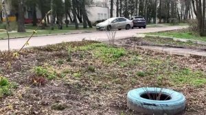 Брянская обл. Посёлок « Мичуринский».